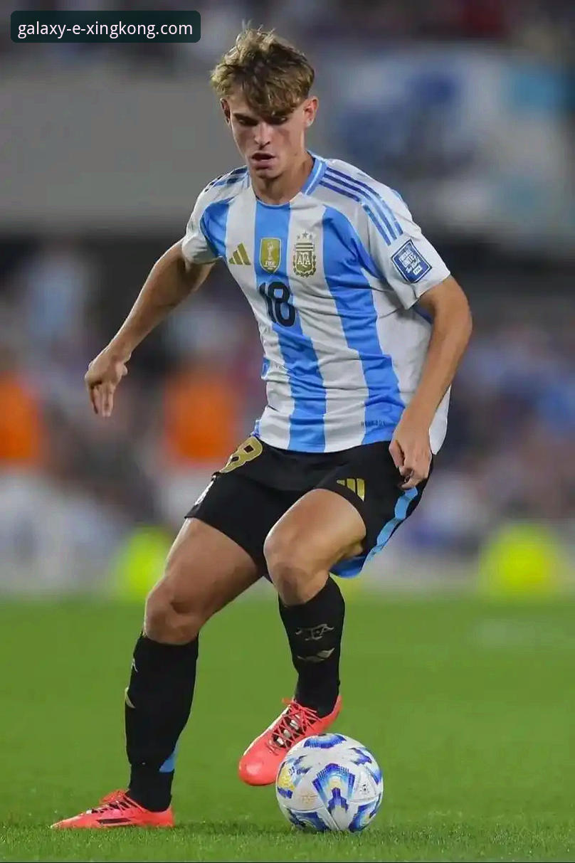 美职联新星赫扎尔哈尼崛起详解：多特蒙德关注下的未来之星